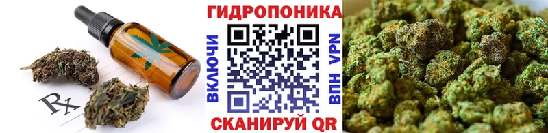Canna-Cookies конопля  сколько стоит  Богданович 