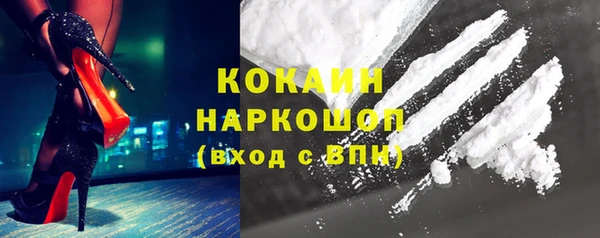 шишки Болхов
