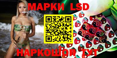 spice Белорецк
