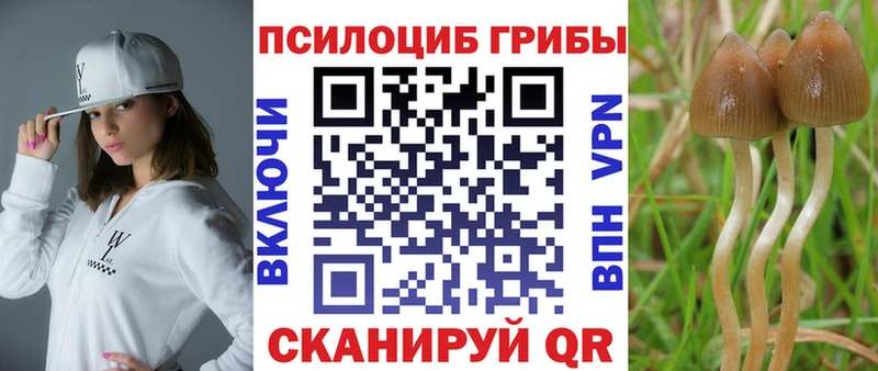 кракен ссылки  Богданович  Псилоцибиновые грибы MAGIC MUSHROOMS  закладка 