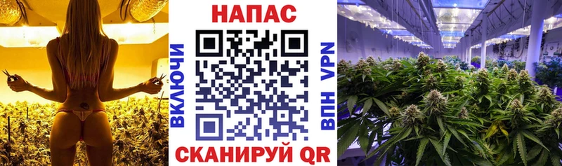 гидра рабочий сайт  Богданович  Бошки Шишки MAZAR 